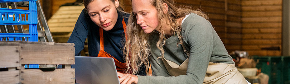 Eckernforder Bank Eg Volksbank Raiffeisenbank Online Banking Firmenkunden
